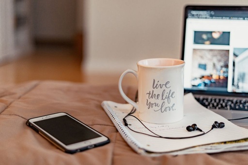 Website Developer